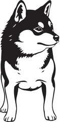 Shiba Inu dog. Hand drawn vector illustration	