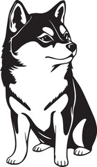 Shiba Inu dog. Hand drawn vector illustration	