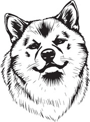 Shiba Inu dog. Hand drawn vector illustration	