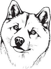 Shiba Inu dog. Hand drawn vector illustration	