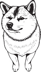 Shiba Inu dog. Hand drawn vector illustration	