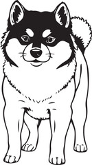 Shiba Inu dog. Hand drawn vector illustration	
