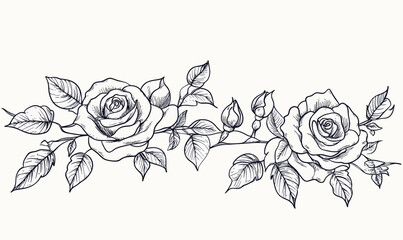 Elegant Vintage Rose Border Line Art Ink Sketch for Minimalist Design