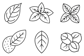 Fototapeta premium Potato Leaf Line Art Creative Design for Nature Illustration 