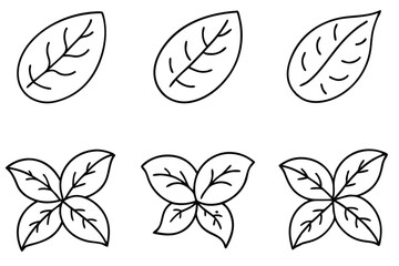 Fototapeta premium Potato Leaf Line Art Detailed Drawing for Botanical Artwork 