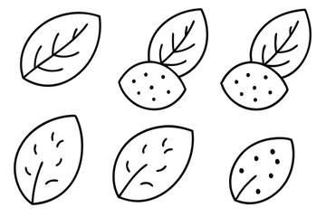 Potato Leaf Line Art Elegant Sketch for Nature Illustration  