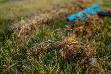 A pile of dry grass scraped from the lawn on a background of garden tools. Cleaning the grass after winter. Lawn care in the spring