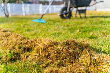 A pile of dry grass as a result of raking the lawn after winter. Spring lawn care and cleaning
