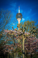 D&uuml;sseldorf Fototour
