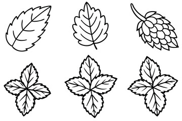Raspberry Leaf Line Art Botanical Design for Natural Product Illustration  