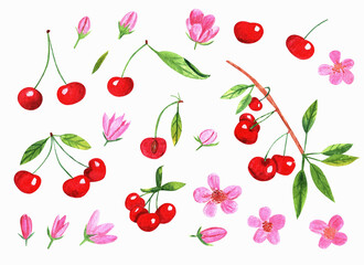 Hand drawn watercolor set of cherries. Can be used as a greeting card for background, birthday, mother's day and so on. Romantic background for web pages, wedding invitations, wallpaper.