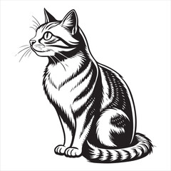 Obraz premium Cat Vector 