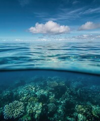 Fototapeta premium blue sky and sea