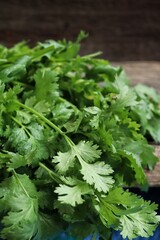 Close up of coriander spice herb