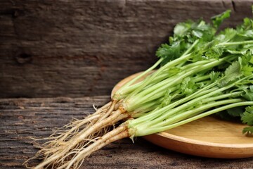 Close up of coriander spice herb