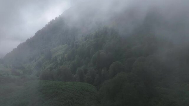 Foggy Kackar Mountains in the Fog Drone Video, Kackar Mountains Plateau Ayder, Camlihemsin Rize, Turkiye (Turkey)