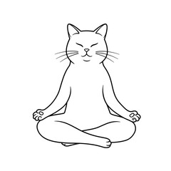 Cat Meditating in a Zen Position Against a White Background  