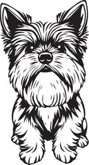 Yorkshire terrier dog. Hand drawn vector illustration	