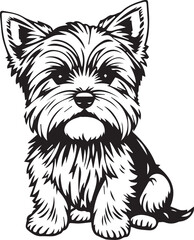 Yorkshire terrier dog. Hand drawn vector illustration	