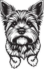 Yorkshire terrier dog. Hand drawn vector illustration	