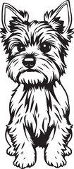 Yorkshire terrier dog. Hand drawn vector illustration	