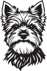 Yorkshire terrier dog. Hand drawn vector illustration	
