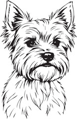 Yorkshire terrier dog. Hand drawn vector illustration	