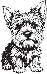 Yorkshire terrier dog. Hand drawn vector illustration	