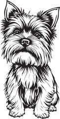 Yorkshire terrier dog. Hand drawn vector illustration	