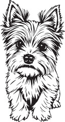 Yorkshire terrier dog. Hand drawn vector illustration	
