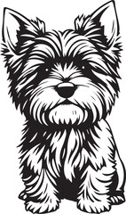 Yorkshire terrier dog. Hand drawn vector illustration	