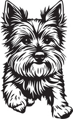 Yorkshire terrier dog. Hand drawn vector illustration	