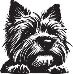 Yorkshire terrier dog. Hand drawn vector illustration	