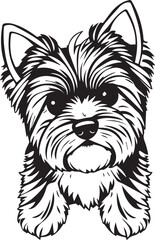 Yorkshire terrier dog. Hand drawn vector illustration	