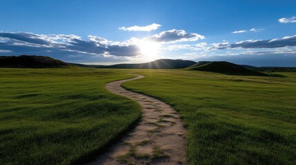 Obraz premium Sunlit Pathway Through Lush Grassy Plains