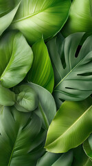 Captivating green leaves arrangement nature image lush environment close-up visual harmony