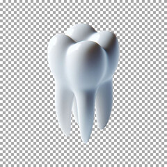 A detailed 3D render of a single human tooth, Detailed Tooth 3D Graphic for Dental Brochures on transparent background, png, psd
