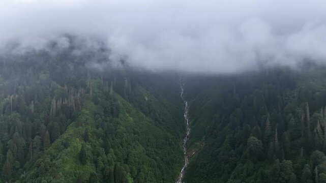 Foggy Kackar Mountains in the Fog Drone Video, Kackar Mountains Plateau Ayder, Camlihemsin Rize, Turkiye (Turkey)