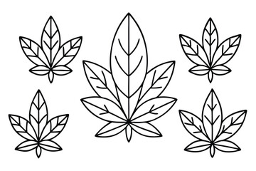 Sassafras Leaf Line Art Detailed Drawing for Nature Inspired Artwork  