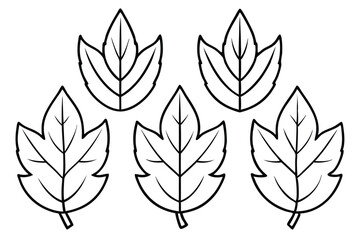 Sassafras Leaf Line Art Intricate Design for Nature Illustration Project  