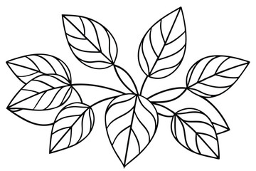 Schefflera Leaf Line Art Elegant Drawing for Botanical Illustration  