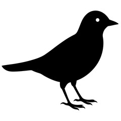 Bird Vector Silhouette | Flying and Nature Clipart