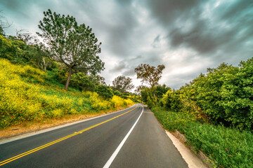 Country style neighborhood streets in Southern California