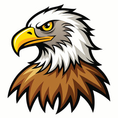 Eagle isolated on white background