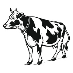 Fototapeta premium black and white cow