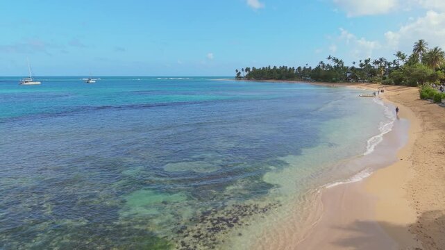 A stunning aerial view of Playa Punta Popy beach with golden sands, turquoise waters and lush palm trees in Dominican Republic. Aerial drone view perfect for tropical travel or tourism themes.