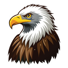 Eagle isolated on white background