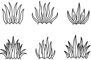 Seagrass Beds Line Art Illustration for Marine Life Depiction  