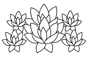Sedum Leaf Line Art Drawing for Detailed Floral Artwork  
