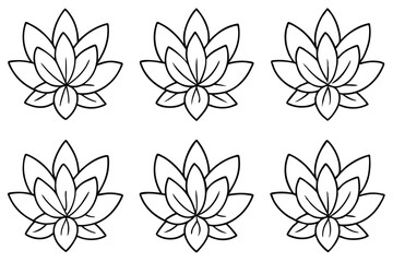 Sedum Leaf Line Art Illustration for Nature Inspired Design  